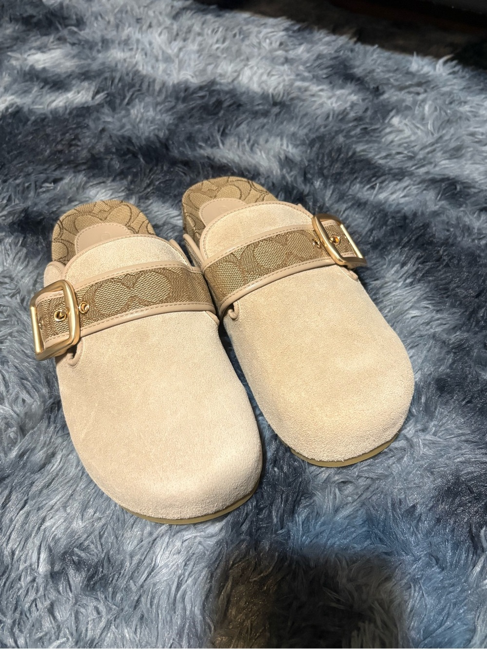 Archival Buckle Clog - Picture 7 of 7